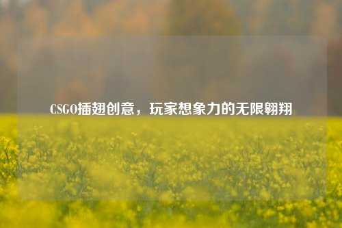 CSGO插翅创意，玩家想象力的无限翱翔