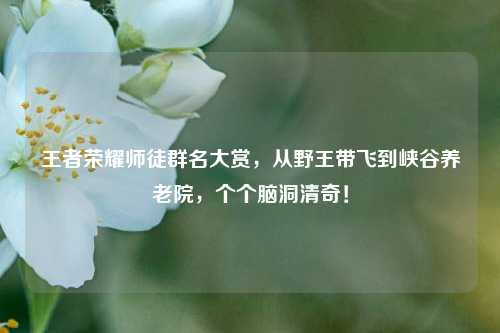 王者荣耀师徒群名大赏，从野王带飞到峡谷养老院，个个脑洞清奇！