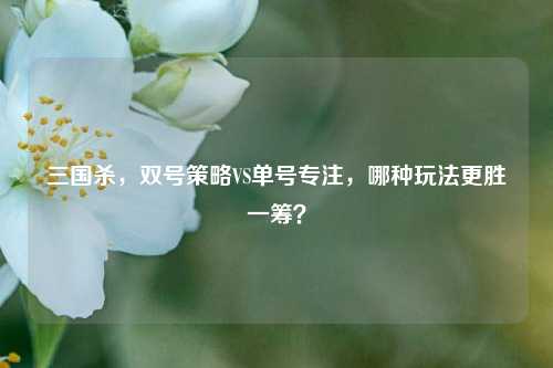 三国杀，双号策略VS单号专注，哪种玩法更胜一筹？