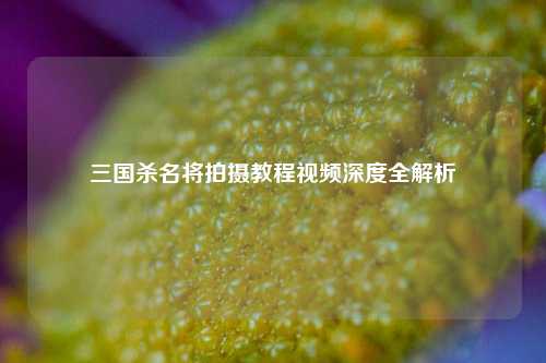 三国杀名将拍摄教程视频深度全解析