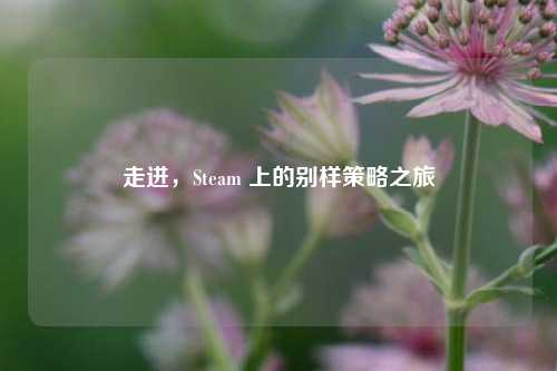走进，Steam 上的别样策略之旅