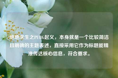 绝地求生之PUBG起义，本身就是一个比较简洁且明确的主题表述，直接采用它作为标题能精准传达核心信息，符合要求。