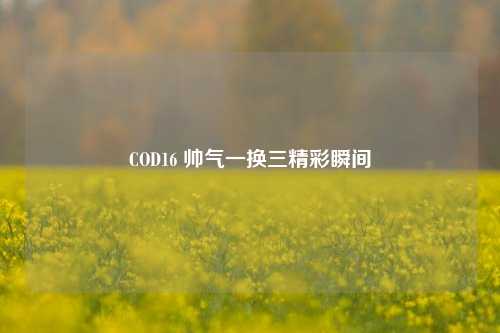 COD16 帅气一换三精彩瞬间
