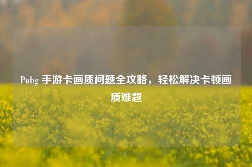 Pubg 手游卡画质问题全攻略，轻松解决卡顿画质难题