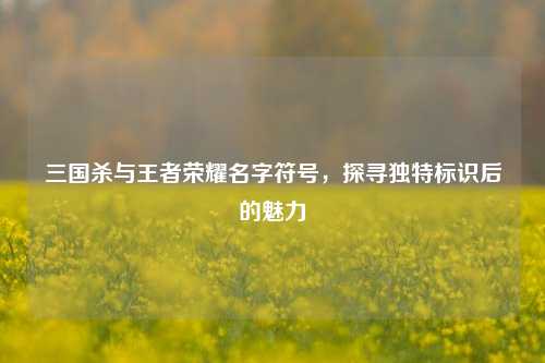 三国杀与王者荣耀名字符号，探寻独特标识后的魅力