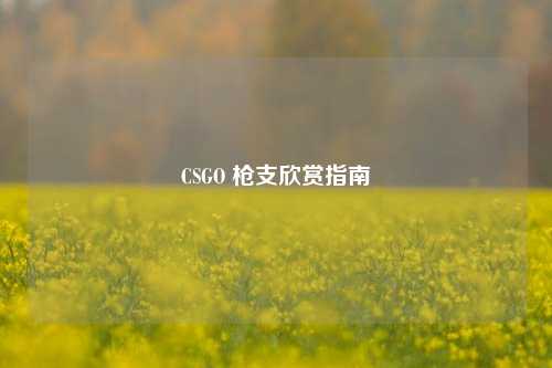 CSGO 枪支欣赏指南
