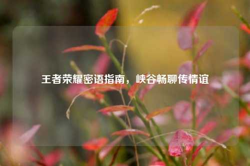 王者荣耀密语指南,峡谷畅聊传情谊