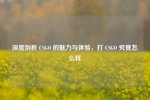 深度剖析 CSGO 的魅力与体验,打 CSGO 究竟怎么样