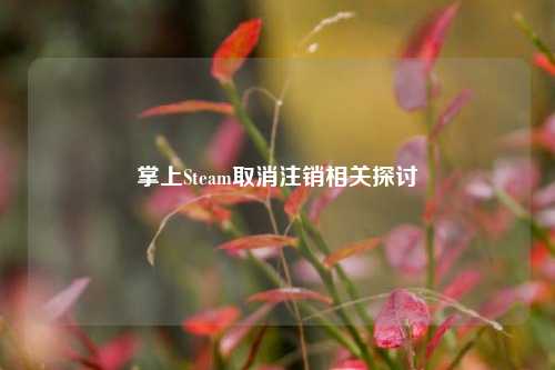 掌上Steam取消注销相关探讨