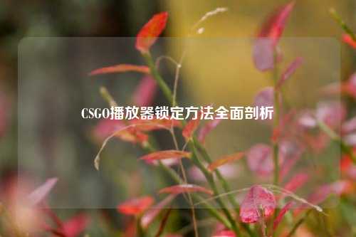CSGO播放器锁定方法全面剖析