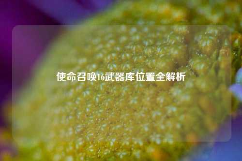 使命召唤16武器库位置全解析