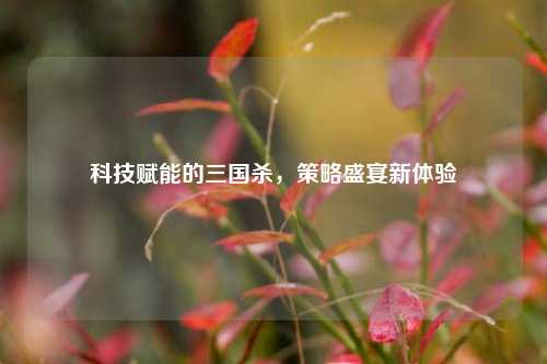 科技赋能的三国杀，策略盛宴新体验