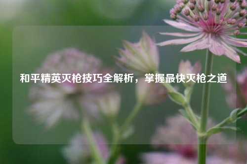 和平精英灭枪技巧全解析,掌握最快灭枪之道