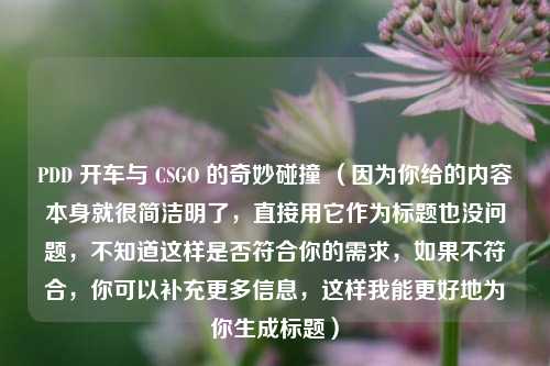 PDD 开车与 CSGO 的奇妙碰撞 （因为你给的内容本身就很简洁明了，直接用它作为标题也没问题，不知道这样是否符合你的需求，如果不符合，你可以补充更多信息，这样我能更好地为你生成标题）