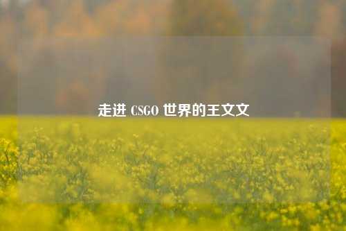 走进 CSGO 世界的王文文