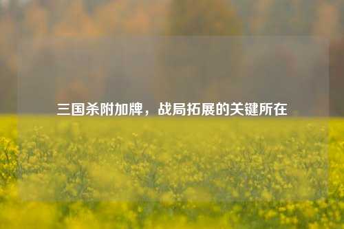 三国杀附加牌,战局拓展的关键所在