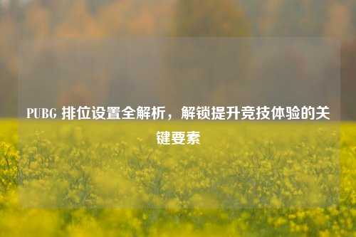 PUBG 排位设置全解析，解锁提升竞技体验的关键要素