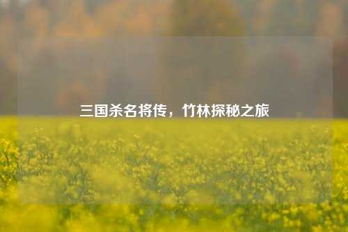 三国杀名将传，竹林探秘之旅
