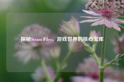 探秘Steam Files,游戏世界的核心宝库