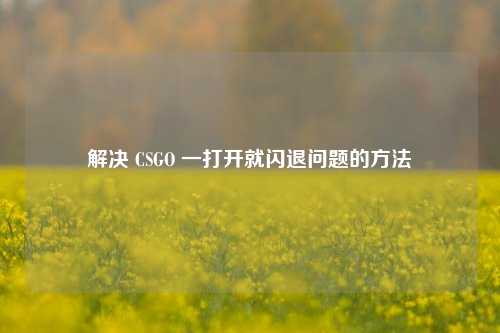 解决 CSGO 一打开就闪退问题的方法