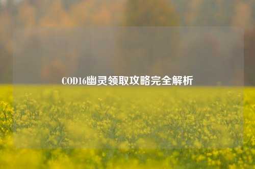 COD16幽灵领取攻略完全解析