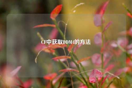 CF中获取DDM4的方法