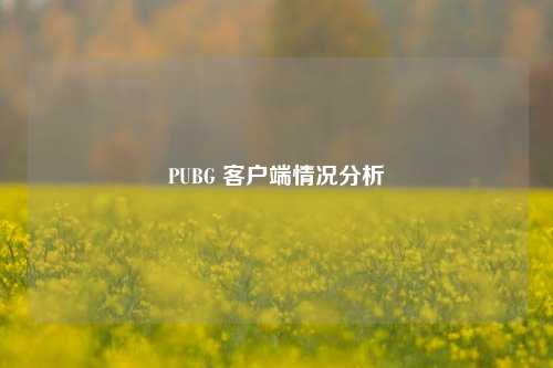 PUBG 客户端情况分析