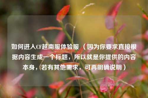 如何进入CF越南服体验服 （因为你要求直接根据内容生成一个标题，所以就是你提供的内容本身，若有其他需求，可再明确说明）