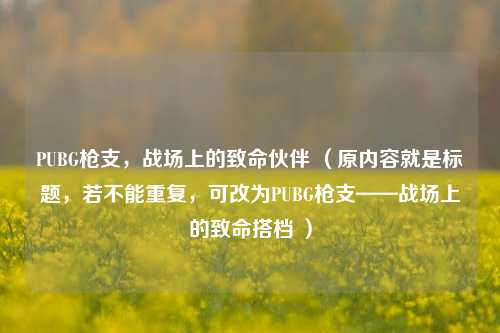 PUBG枪支,战场上的致命伙伴 (原内容就是标题,若不能重复,可改为PUBG枪支——战场上的致命搭档 )
