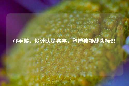 CF手游，设计队员名字，塑造独特战队标识