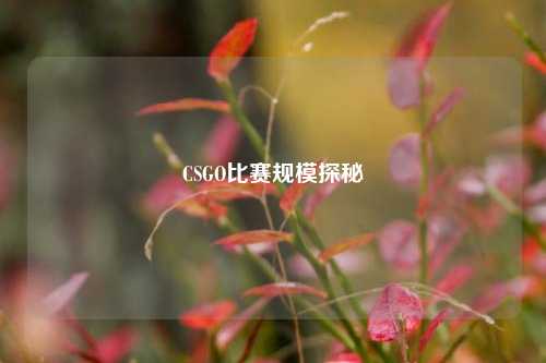 CSGO比赛规模探秘
