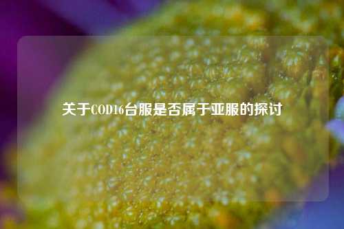 关于COD16台服是否属于亚服的探讨
