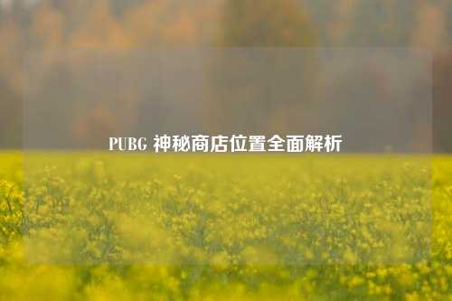 PUBG 神秘商店位置全面解析