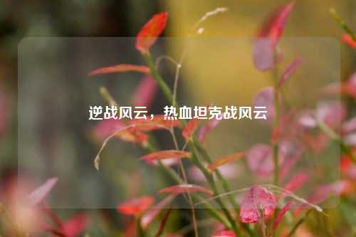 逆战风云，热血坦克战风云