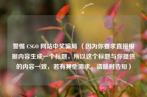 警惕 CSGO 网站中奖骗局 (因为你要求直接根据内容生成一个标题,所以这个标题与你提供的内容一致,若有其他需求,请随时告知)