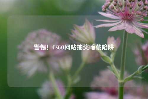 警惕!CSGO网站抽奖暗藏陷阱