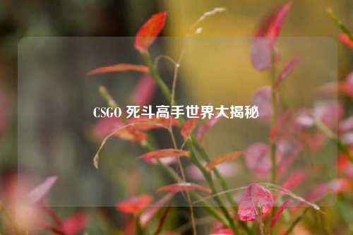 CSGO 死斗高手世界大揭秘
