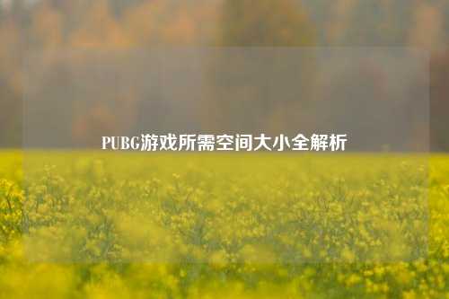 PUBG游戏所需空间大小全解析