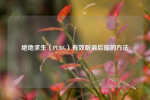 绝地求生（PUBG）有效取消后摇的方法