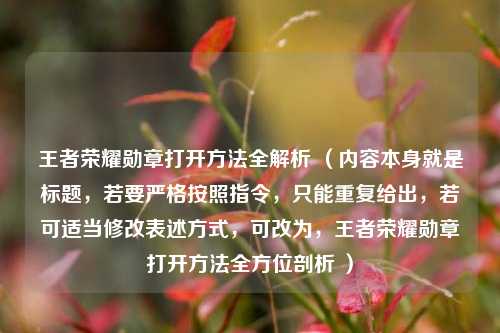 王者荣耀勋章打开方法全解析 (内容本身就是标题,若要严格按照指令,只能重复给出,若可适当修改表述方式,可改为,王者荣耀勋章打开方法全方位剖析 )