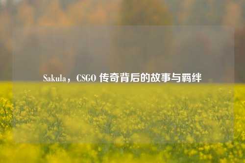 Sakula，CSGO 传奇背后的故事与羁绊