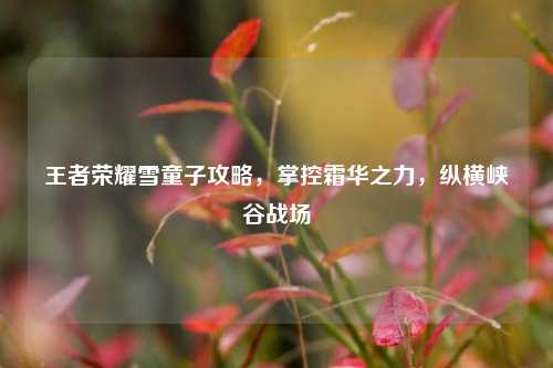 王者荣耀雪童子攻略,掌控霜华之力,纵横峡谷战场