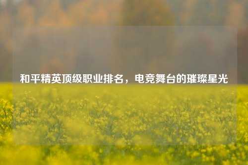 和平精英顶级职业排名，电竞舞台的璀璨星光
