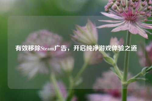 有效移除Steam广告,开启纯净游戏体验之道