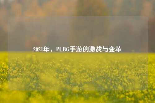 2021年,PUBG手游的激战与变革