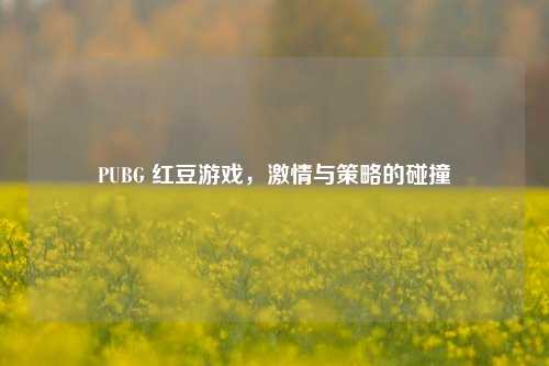PUBG 红豆游戏,激情与策略的碰撞