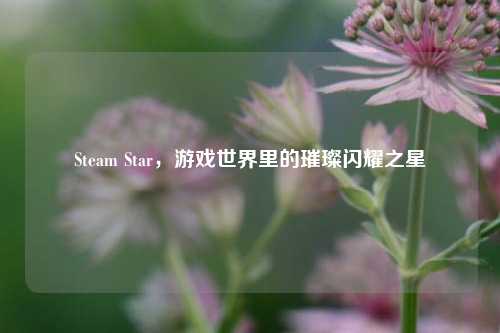 Steam Star,游戏世界里的璀璨闪耀之星