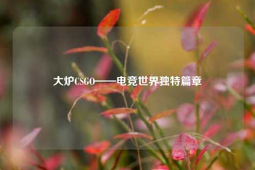 大炉CSGO——电竞世界独特篇章