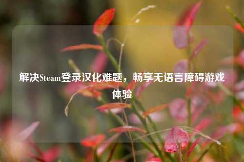 解决Steam登录汉化难题，畅享无语言障碍游戏体验