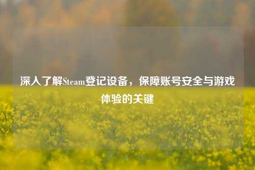 深入了解Steam登记设备,保障账号安全与游戏体验的关键